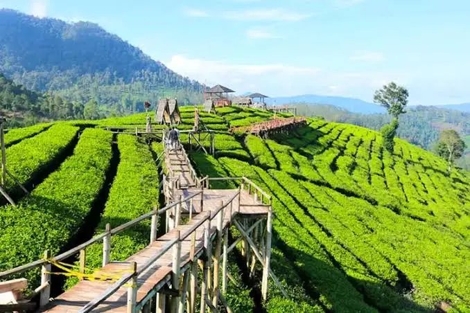 Paket Wisata Pangalengan